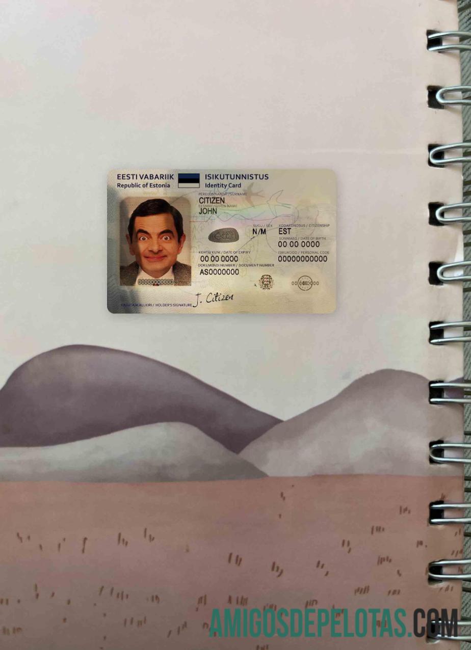 Em branco Estonia ID modelo (2018 – Present) olhar de foto frente